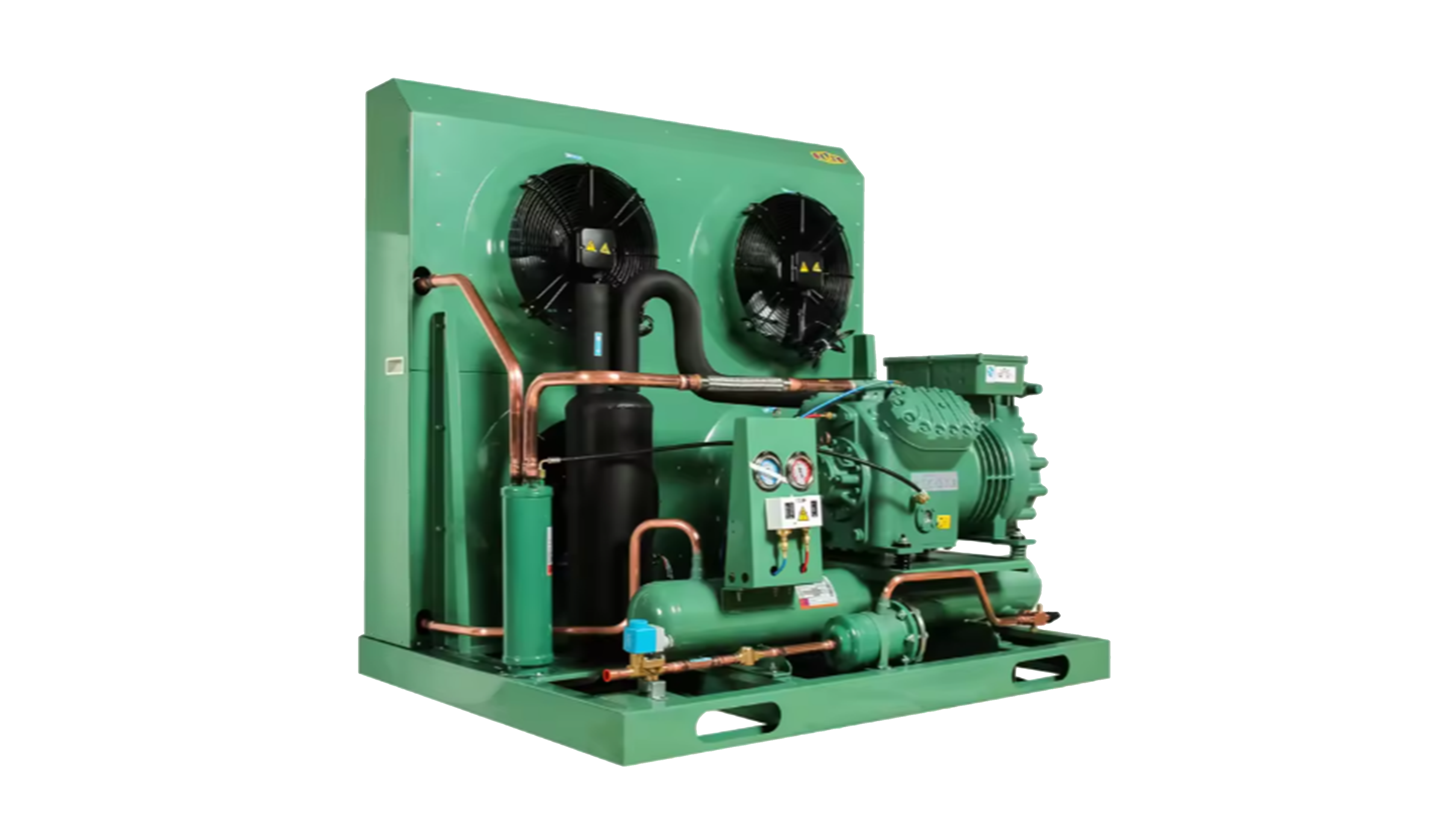 Remote supervision system